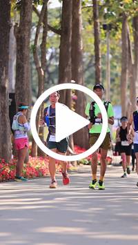 BIB:  <button type="button" onclick="openModal(27614573)" class="btn btn-primary btn-sm float-right" data-toggle="modal" data-target=".modal-high-quality">
                <i class="fa fa-download"></i> Download
                </button>